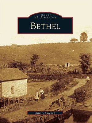 cover image of Bethel